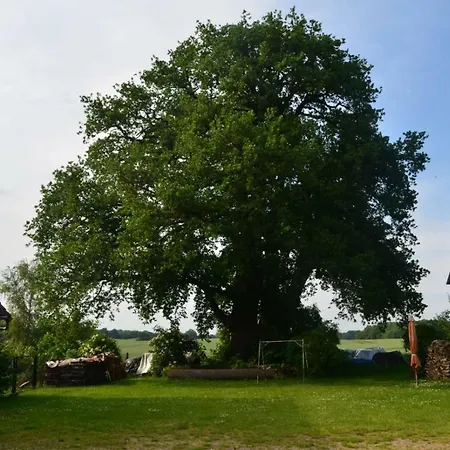 Zu Den Zwillingseichen